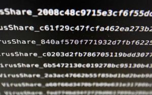fraude et cybercriminalité